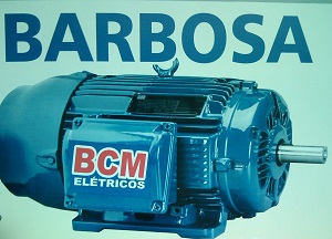 BCM Elétricos